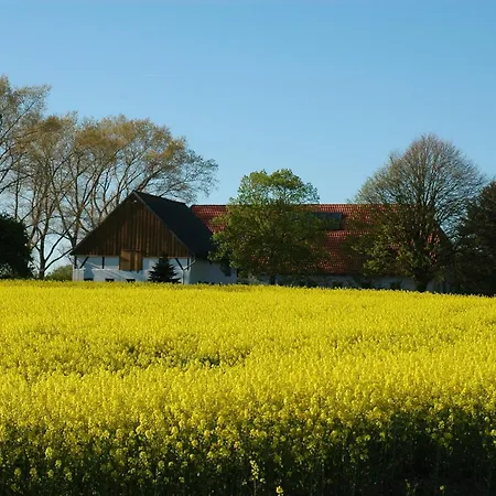 Holsteinhaus-zirmoisel Ruhe Und Eigene Sauna * Rappin